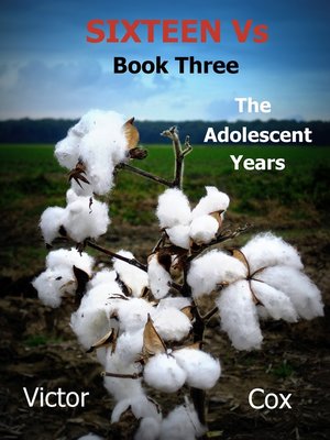 cover image of Sixteen Vs, Book Three, the Adolescent Years